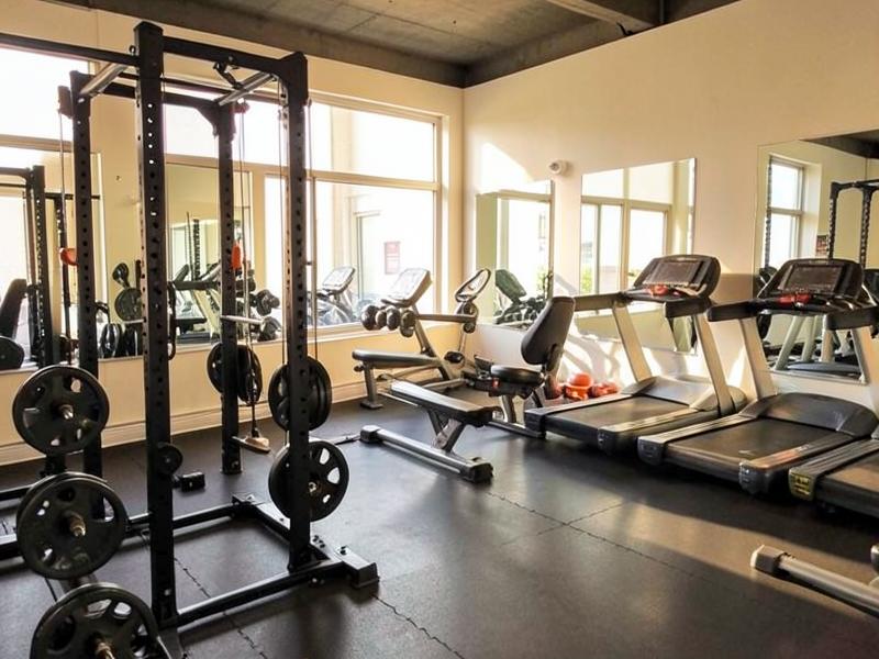 Gym floor with squat rack, weight plates and treadmills